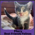 Photo of Mary