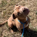 Photo of Cesar