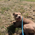 Photo of Cesar