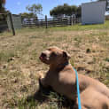Photo of Cesar