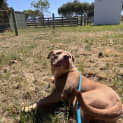 Photo of Cesar