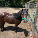 Photo of Todd