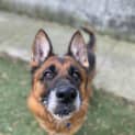 Photo of Candy