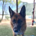 Photo of Candy