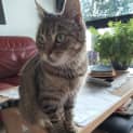 Photo of Jemima