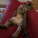 Photo of Jemima