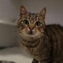 Photo of Jemima