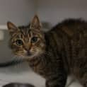 Photo of Jemima
