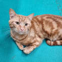 Photo of Wally