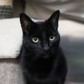 Photo of Lylah