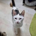 Photo of Willow