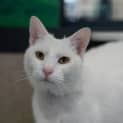Photo of Kristoff