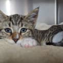 Photo of Simon