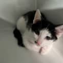 Photo of Tom
