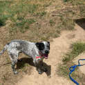 Photo of Benson