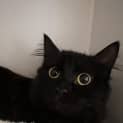 Photo of Wednesday