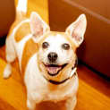 Photo of Sally