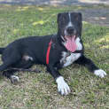 Photo of Sonny