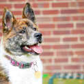 Photo of Girlie