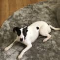 Photo of Juanita
