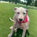 Photo of Poppy