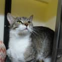 Photo of Talulah