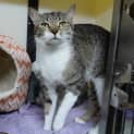 Photo of Talulah