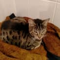 Photo of Lilly