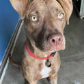 Photo of Stretch