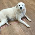 Photo of Matilda / Maverick