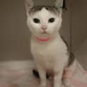 Photo of Tilly
