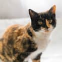 Photo of Jaffa