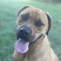 Photo of Gunner