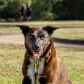 Photo of Yama