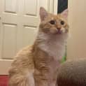 Photo of Sunny