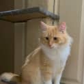Photo of Sunny