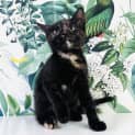 Photo of Evangeline   Located In Preston