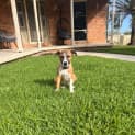 Photo of Remi