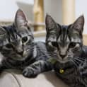 Photo of Minnie & Daisy