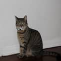 Photo of Emily