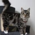 Photo of Felicity
