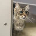 Photo of Maggie