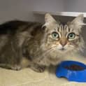 Photo of Maggie