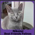 Photo of Nikolai