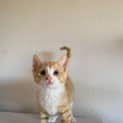 Photo of Kiddo