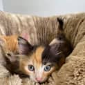 Photo of Beatrix
