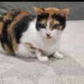 Photo of Dotty