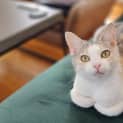 Photo of Winifred