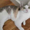 Photo of Winifred
