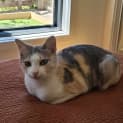 Photo of Winifred